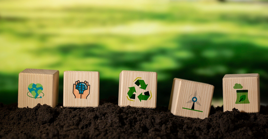 5 Easy Ways to Reduce Your Carbon Footprint with Eco-Friendly Home Products