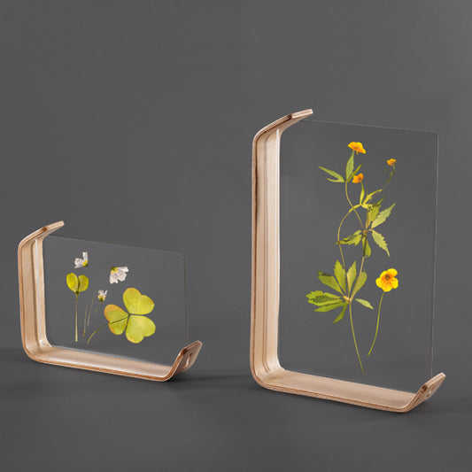 Wooden Acrylic Creative Specimen Photo Frame