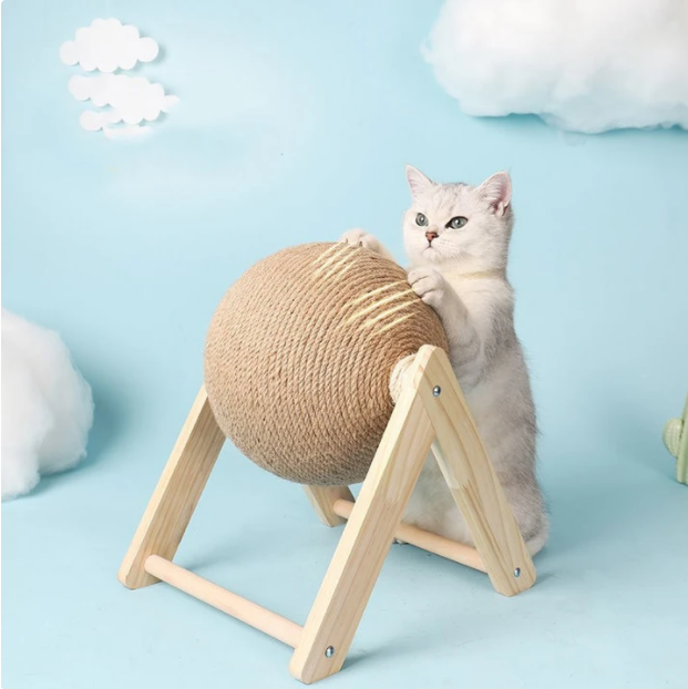 Eco Pet Comfort & Care Bundle