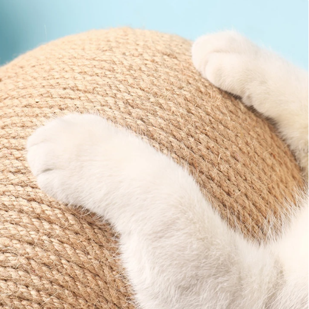 Eco Pet Comfort & Care Bundle