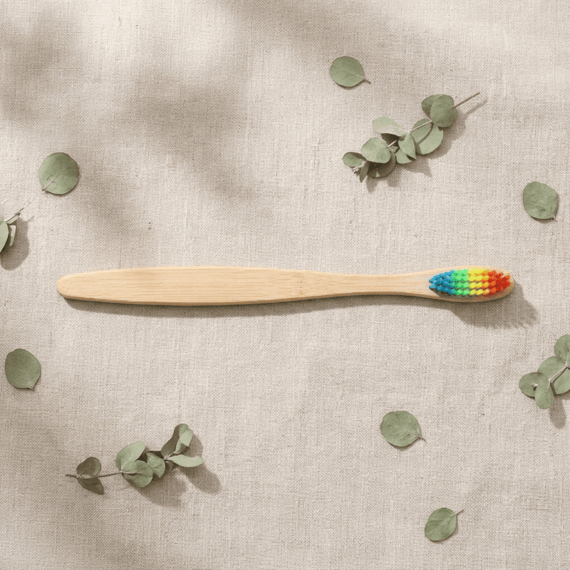 Single Natural Bamboo Toothbrush Plate Set