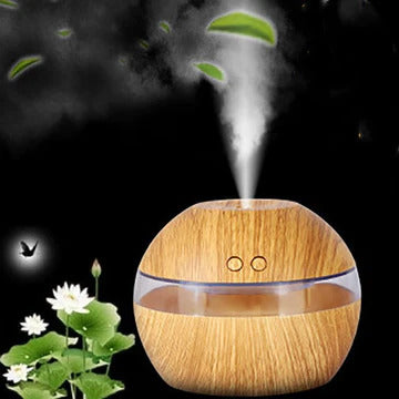 Regulate the Humidity Level in the Home by Utilizing Eco Humidifier