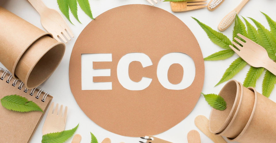 10 Budget-Friendly Biodegradable Practices for an Eco-Conscious Home