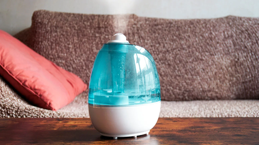 Explore The Essential Process Of Natural Humidifier