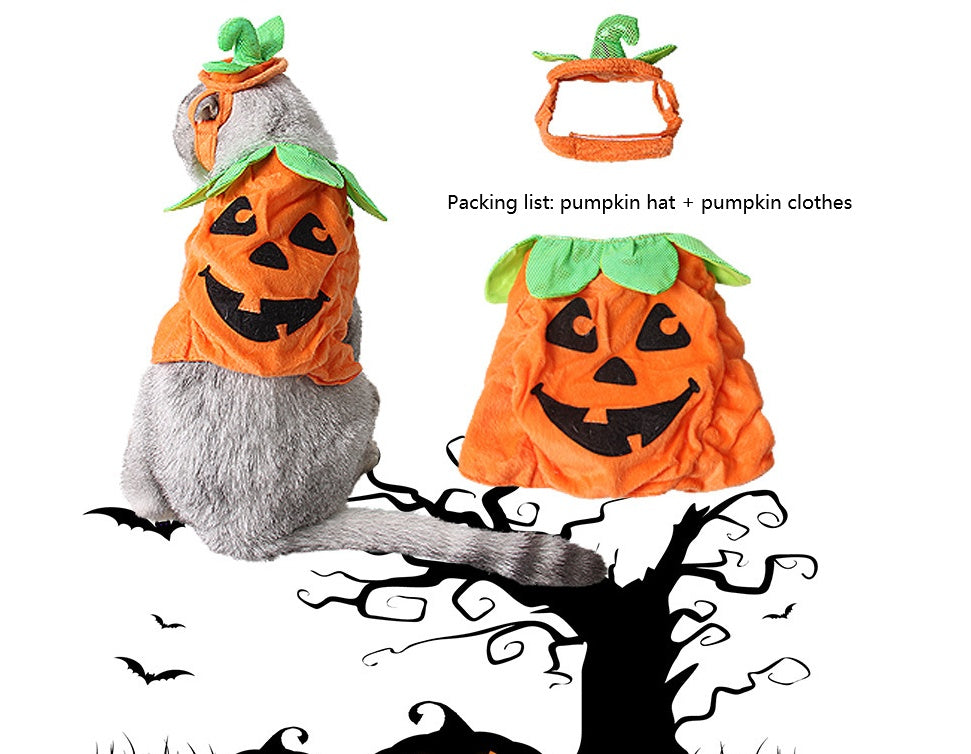 Halloween Cats Creative Pumpkin Shape Green Leaf Decoration Costume