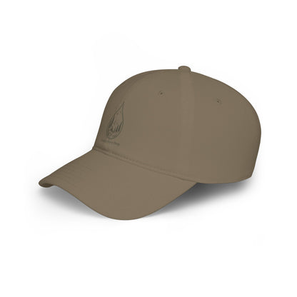 Protect Every Drop Low Profile Baseball Cap — Water Conservation Embroidered Hat