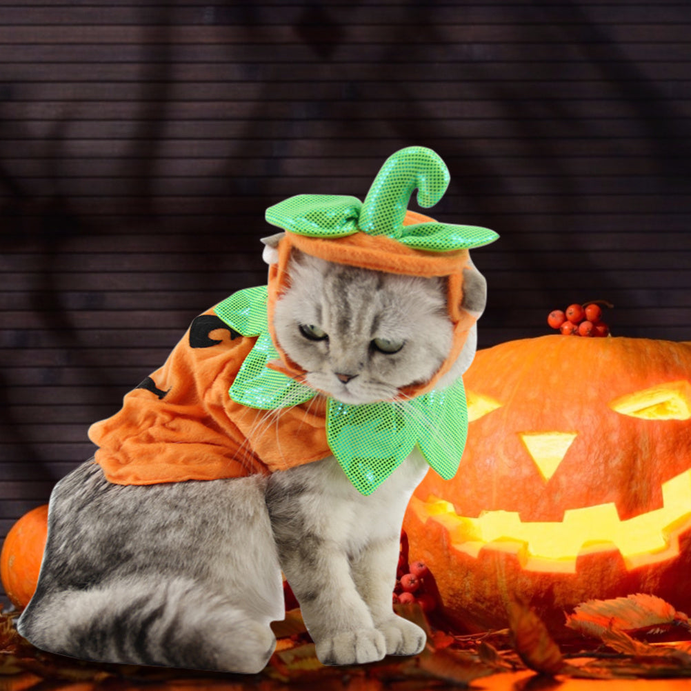 Halloween Cats Creative Pumpkin Shape Green Leaf Decoration Costume