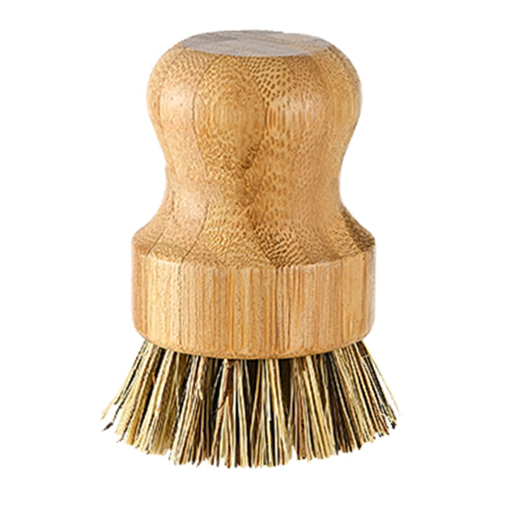 Bamboo dish brush with coconut and sisal bristles