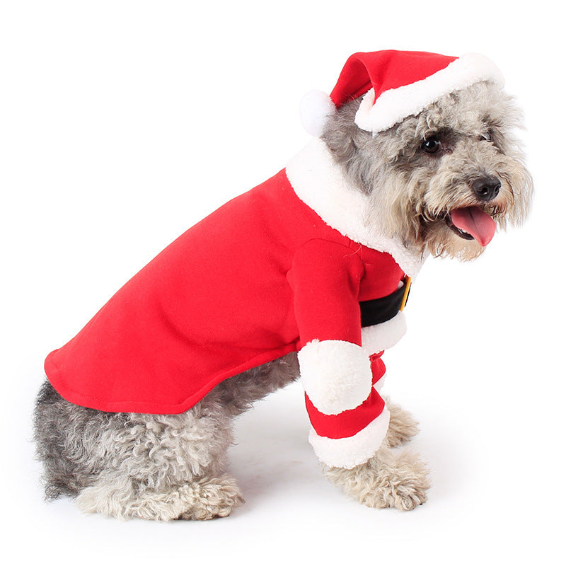 Pet Christmas Standing Costume