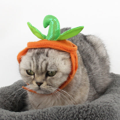 Halloween Cats Creative Pumpkin Shape Green Leaf Decoration Costume