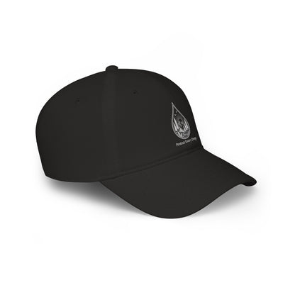 Protect Every Drop Low Profile Baseball Cap — Water Conservation Embroidered Hat