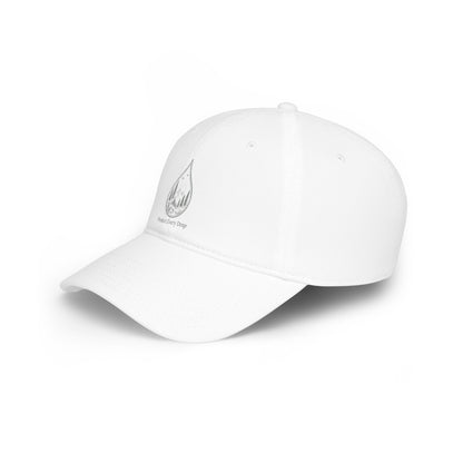 Protect Every Drop Low Profile Baseball Cap — Water Conservation Embroidered Hat