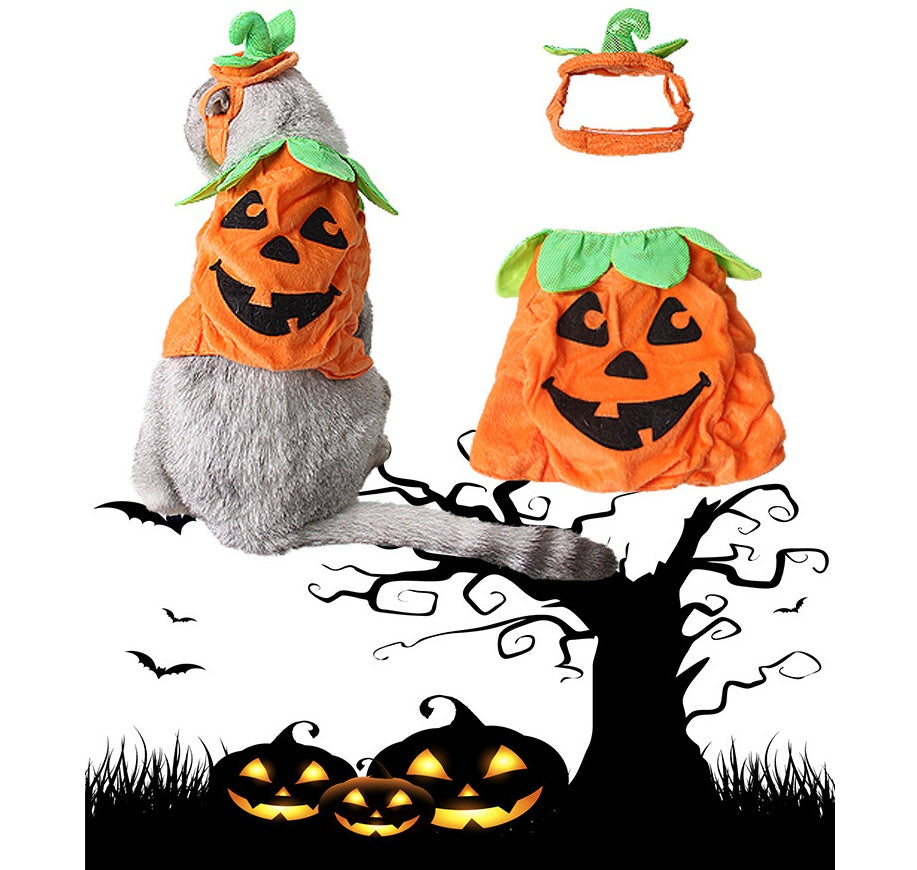 Halloween Cats Creative Pumpkin Shape Green Leaf Decoration Costume